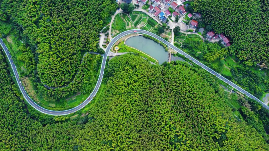 广德竹海与远山的航拍全景