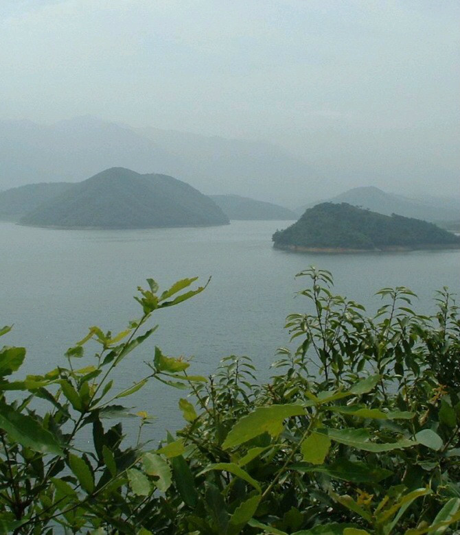 沿卢村水库蜿蜒的公路，两侧竹林连绵起伏